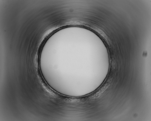 X0000101221030200807251106