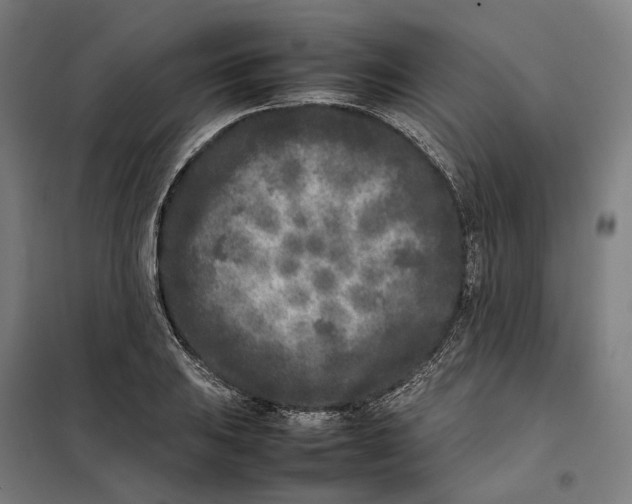 X0000101221031200807251106