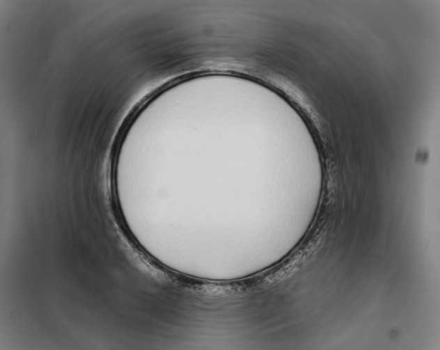 X0000101221032200807251106