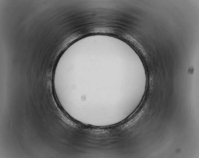X0000101221033200807251106