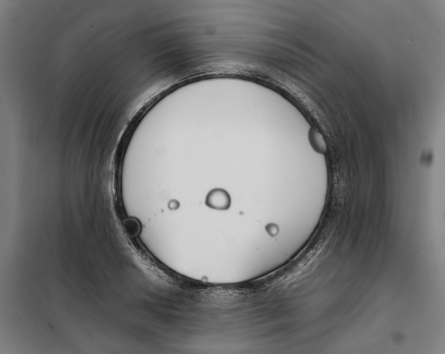 X0000101221034200807251106