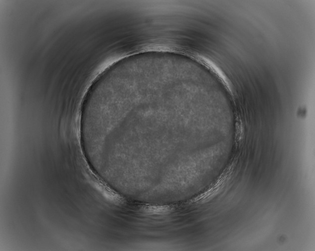 X0000101221035200807251107