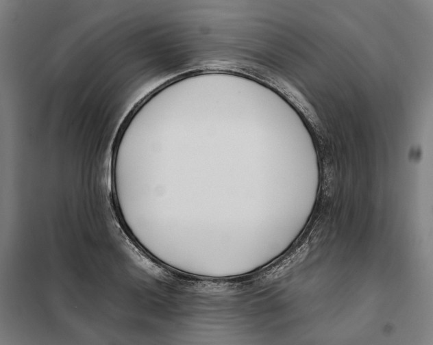 X0000101221036200807251107