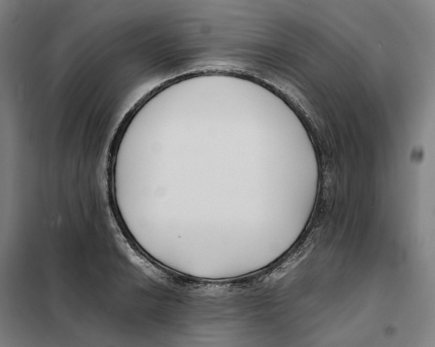 X0000101221038200807251107