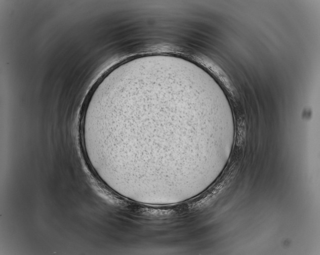 X0000101221039200807251107