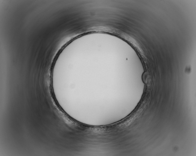X0000101221040200807251107