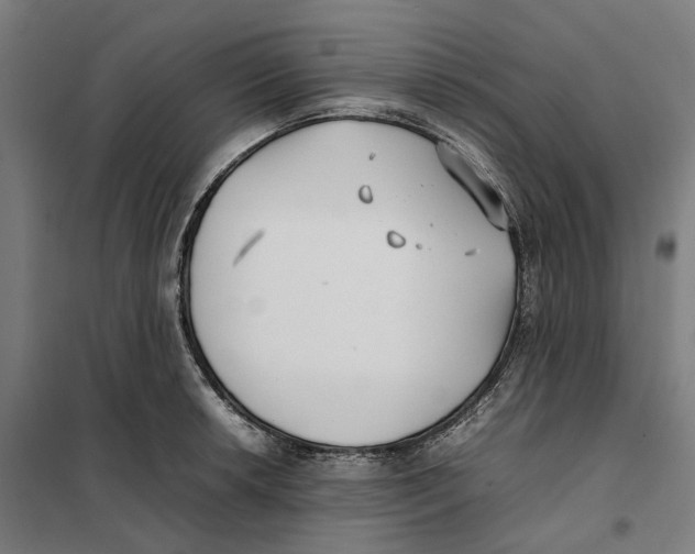 X0000101221042200807251107