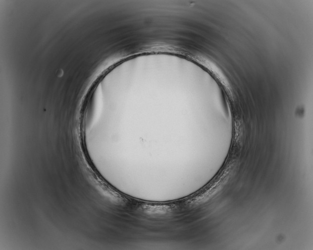 X0000101221043200807251107