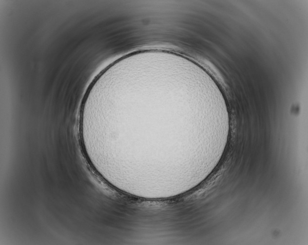 X0000101221044200807251107