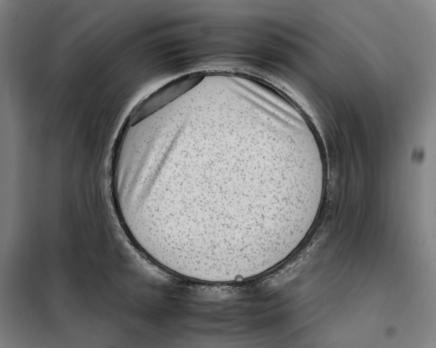 X0000101221045200807251107