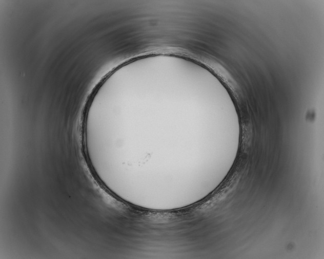 X0000101221046200807251107