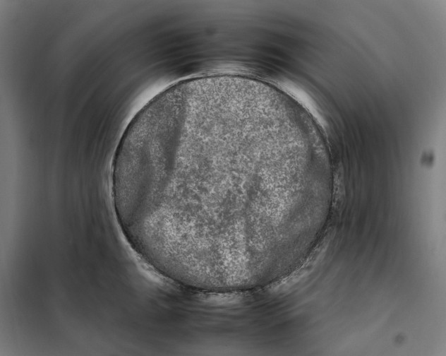 X0000101221047200807251107