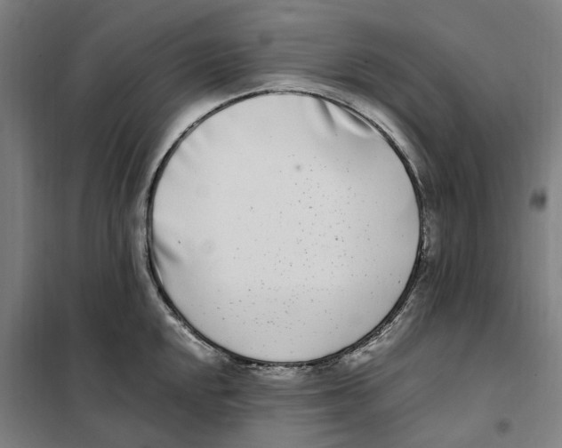 X0000101221048200807251107