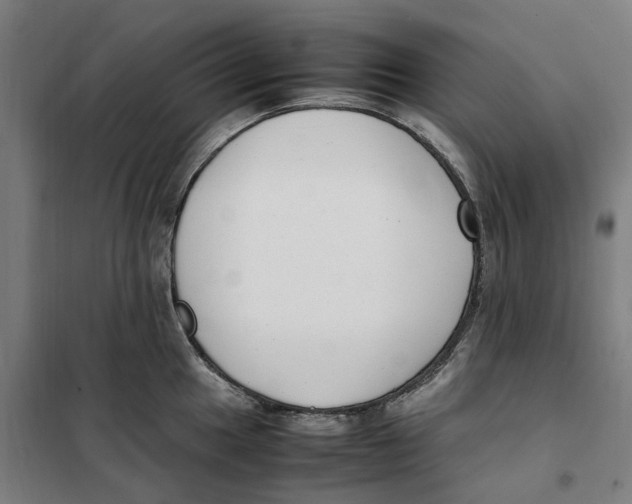 X0000101221049200807251107
