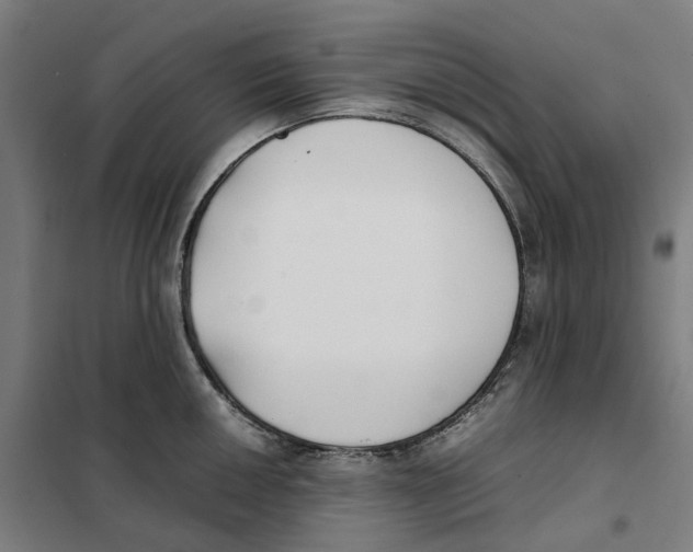 X0000101221050200807251107