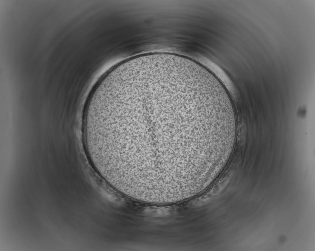 X0000101221051200807251107