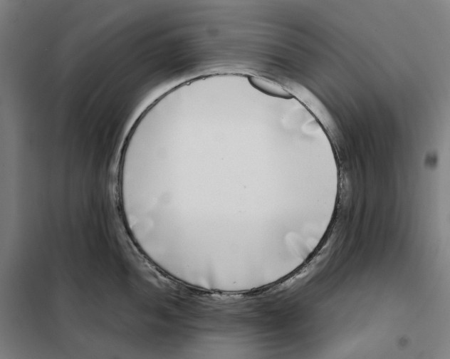 X0000101221052200807251107