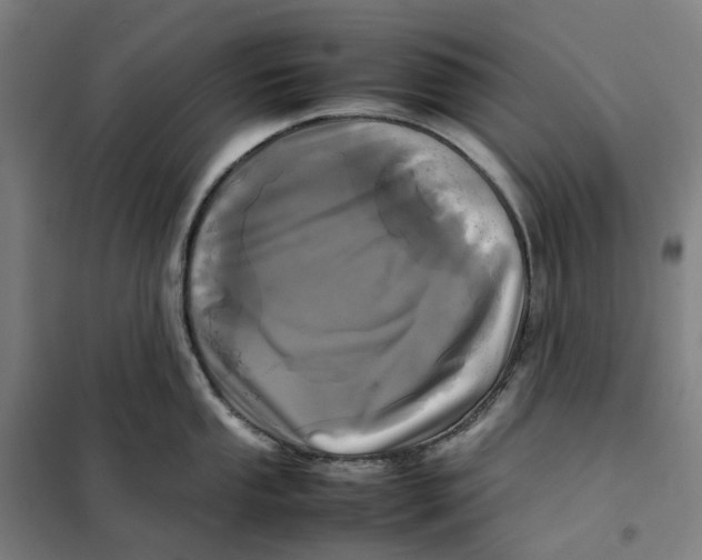X0000101221053200807251107