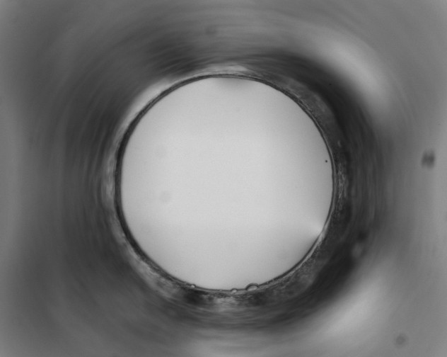 X0000101221054200807251107
