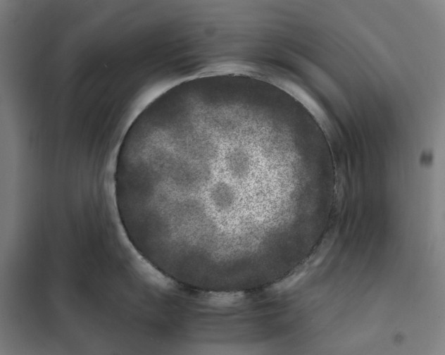 X0000101221055200807251107