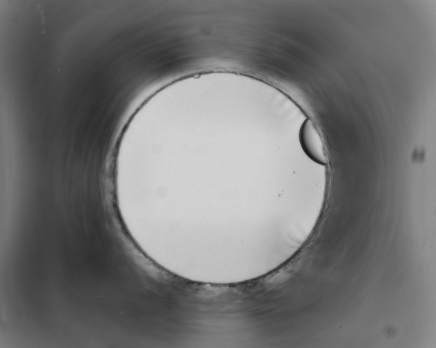 X0000101221056200807251107