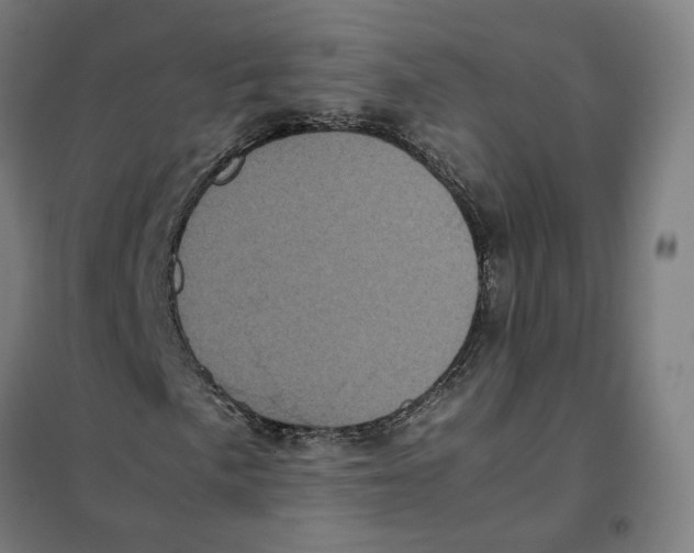 X0000101221057200807251106
