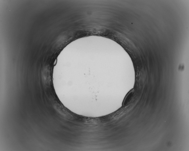 X0000101221058200807251106