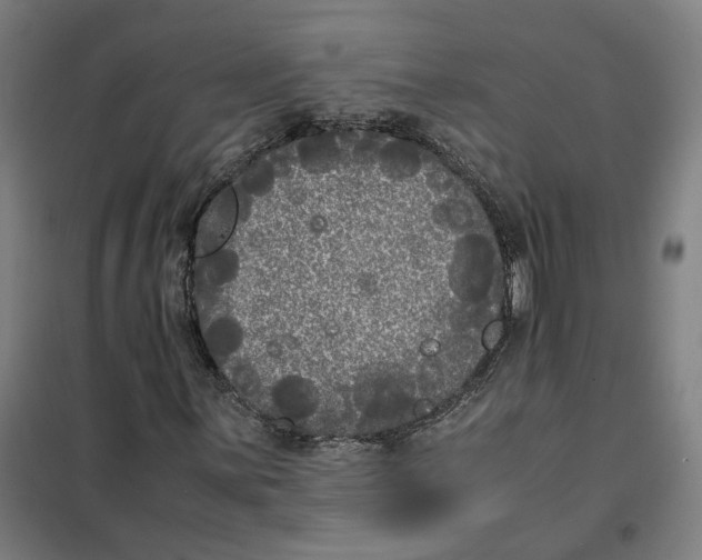 X0000101221059200807251106