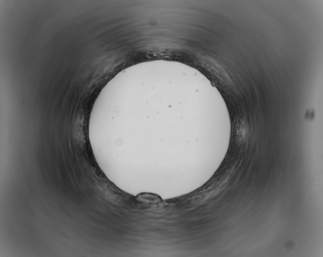 X0000101221060200807251106