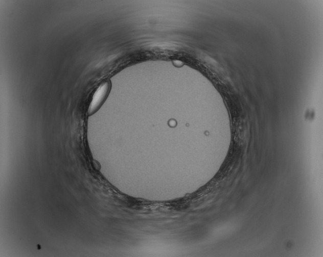 X0000101221061200807251106