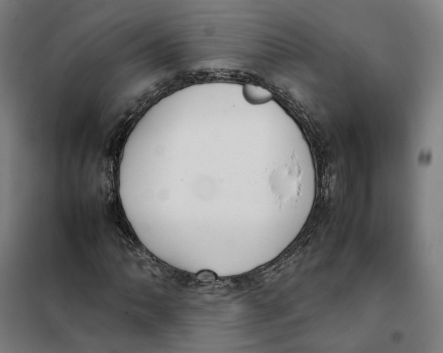 X0000101221062200807251106