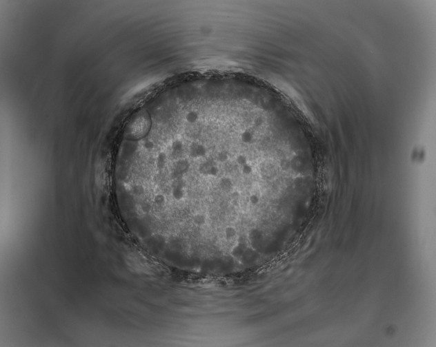 X0000101221063200807251106