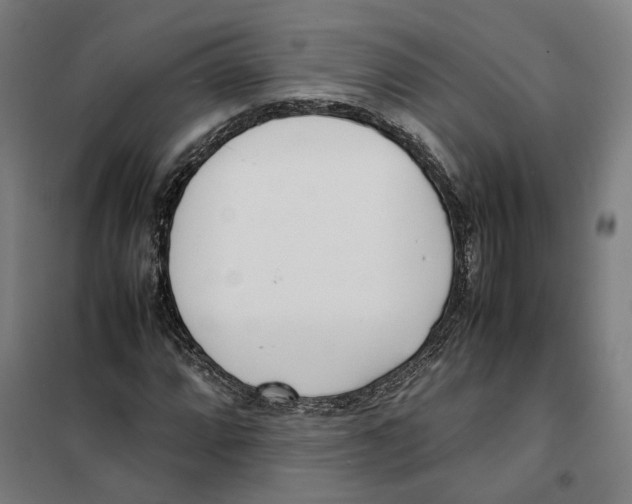 X0000101221064200807251106
