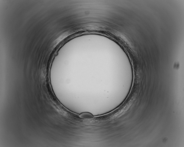 X0000101221065200807251106