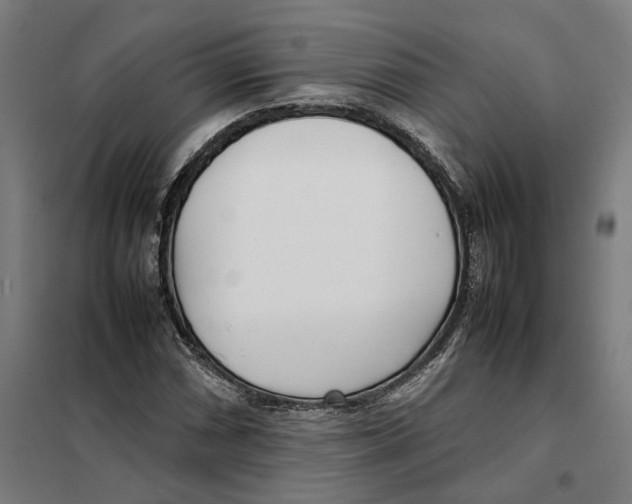 X0000101221066200807251106