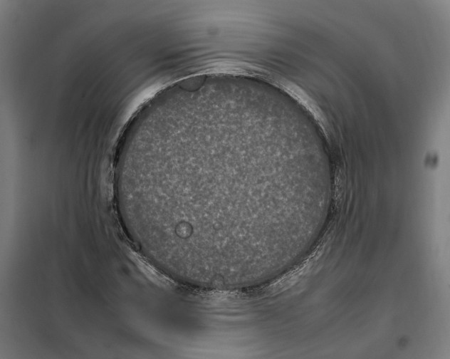 X0000101221067200807251106