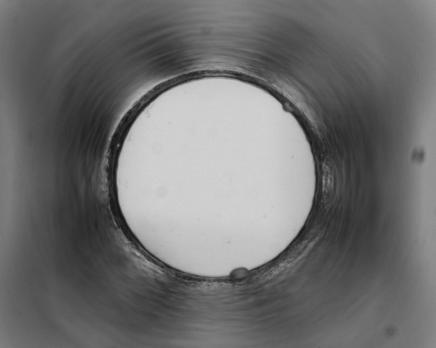 X0000101221068200807251106
