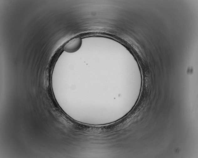 X0000101221069200807251106