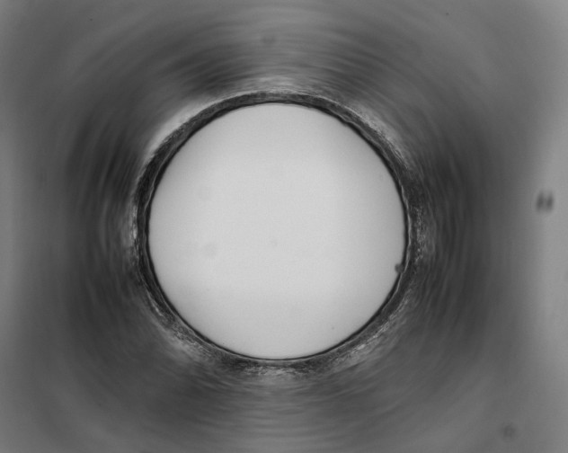 X0000101221070200807251106