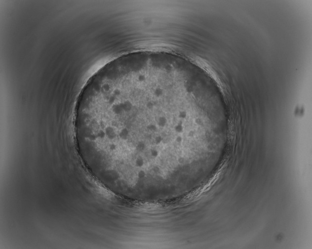 X0000101221071200807251106