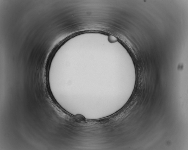 X0000101221072200807251106