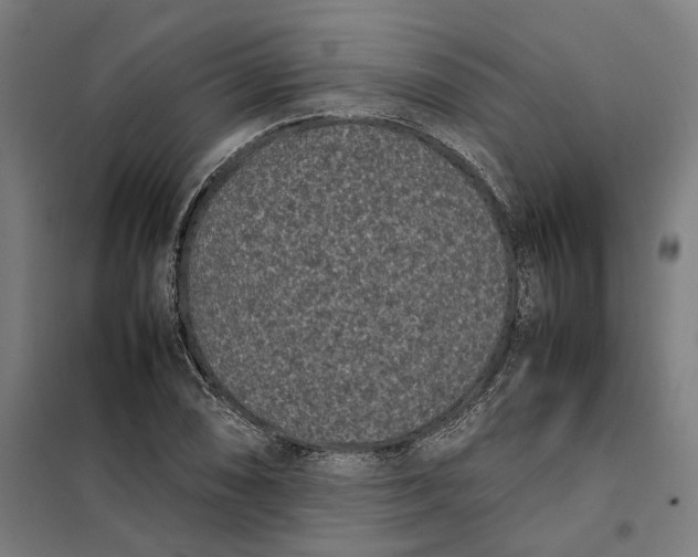 X0000101221074200807251106