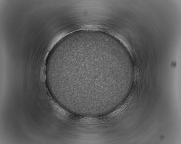 X0000101221075200807251106