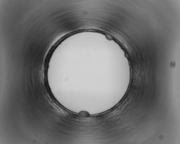 X0000101221076200807251106