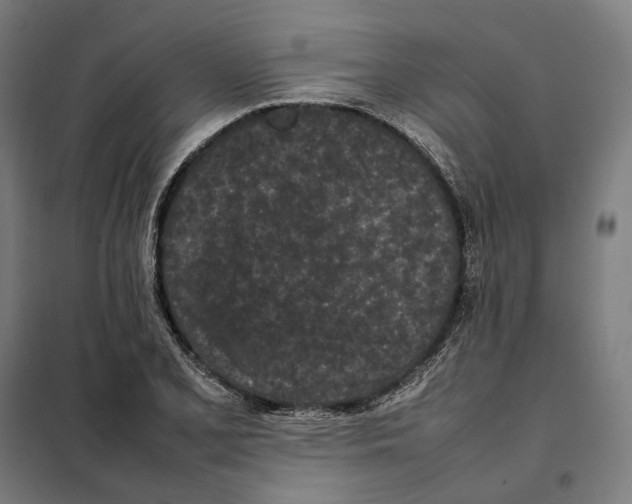 X0000101221077200807251106