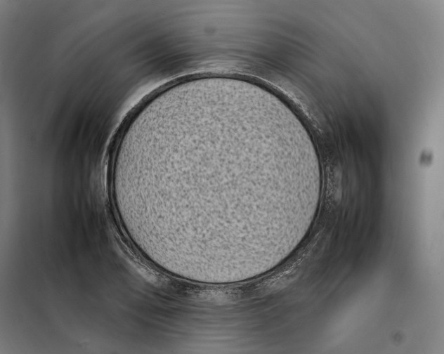 X0000101221078200807251106