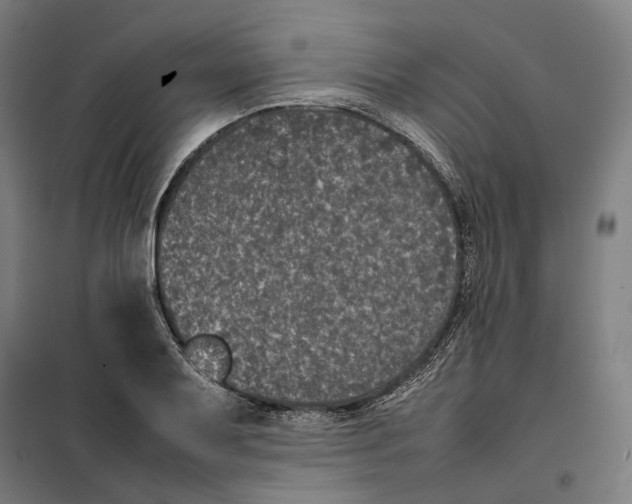 X0000101221079200807251106