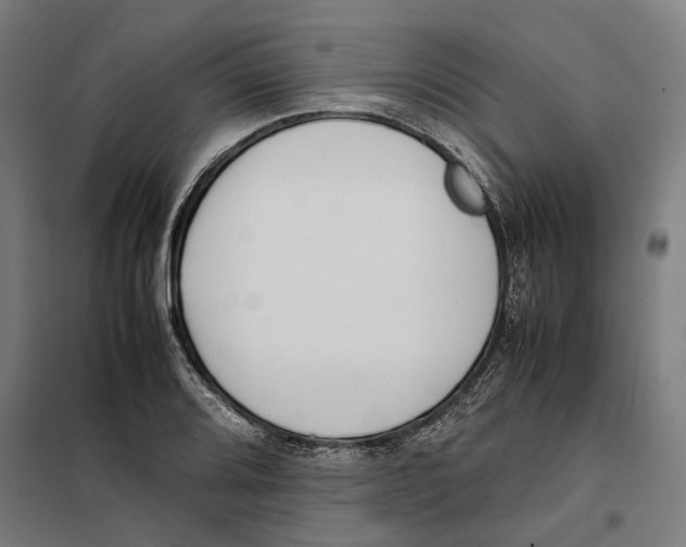 X0000101221080200807251106