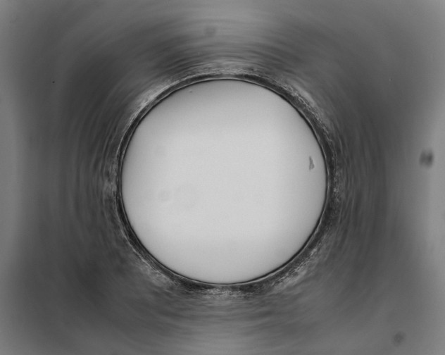 X0000101221081200807251106