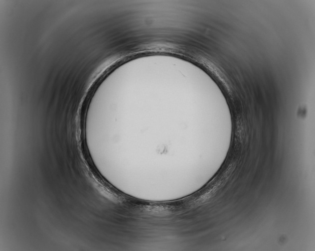 X0000101221082200807251106